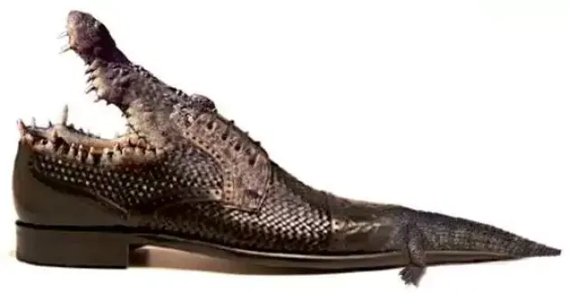 crocodile-shoes