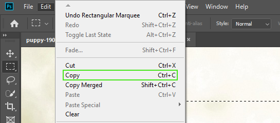 Copy in Photoshop